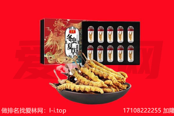 内江市资中回收虫草.jpg